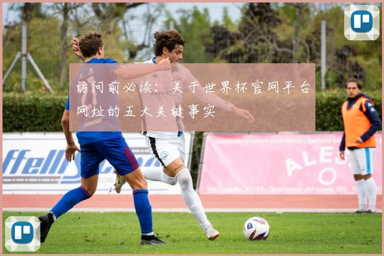 访问前必读：关于世界杯官网平台网址的五大关键事实